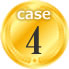 case4