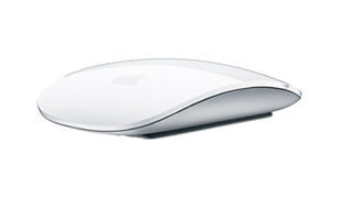 Apple Magic Mouse  MB829J/A